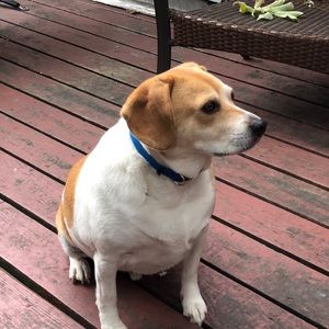 Meet your Posher, Helen